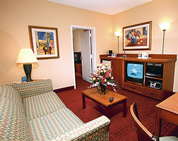Lexington Suites Accommodation 2